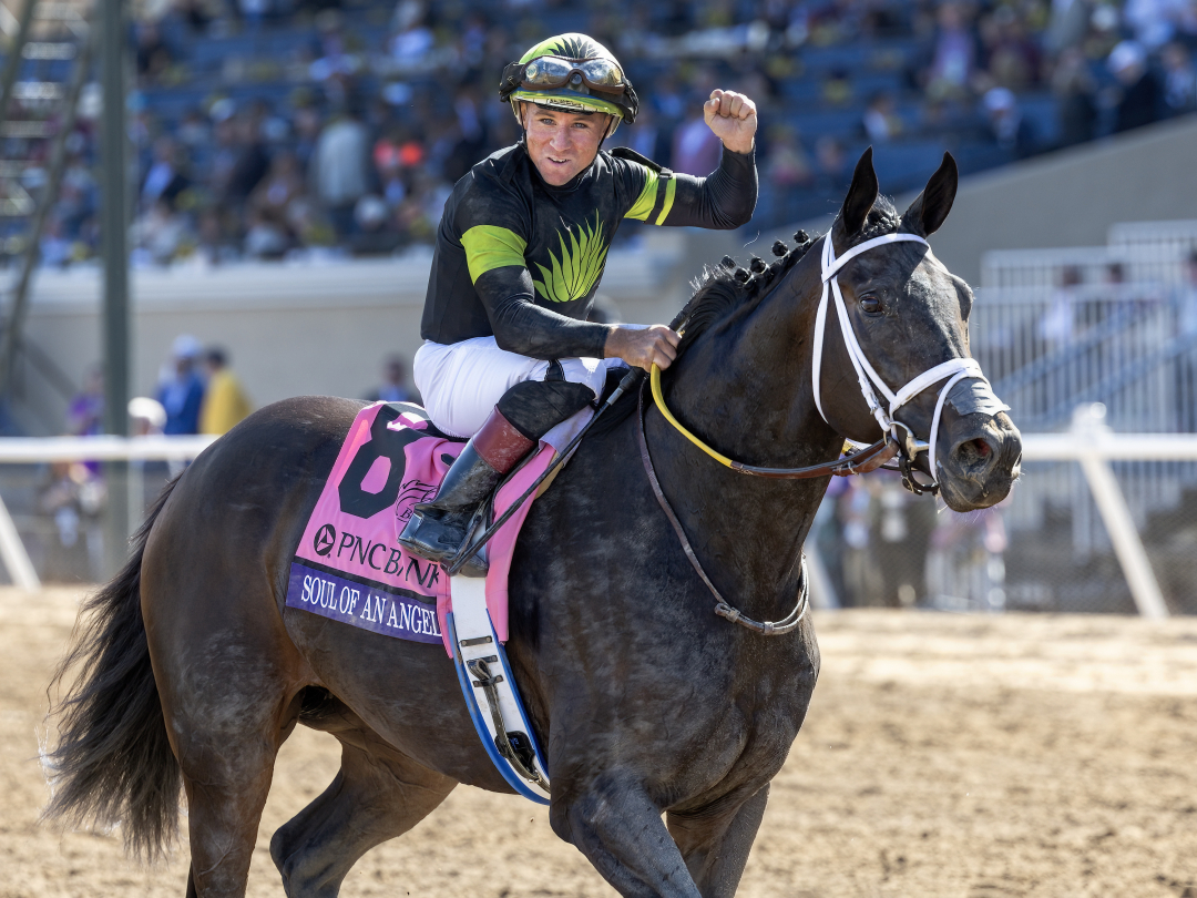 Seven Eclipse winners expected back for 2025 campaigns